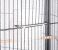 Cage Perch