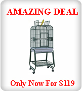 Special Deals