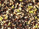 Bird Food