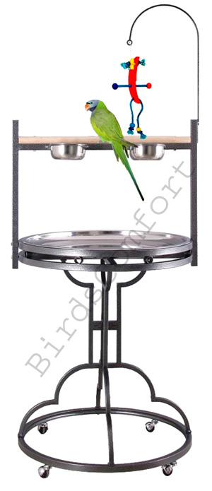 Bird Feeder Stand
