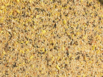 Bird Foods