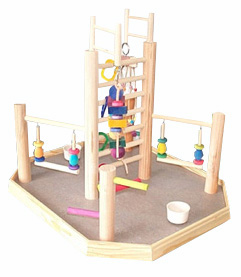 Bird Gyms