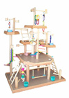 Bird Playgyms