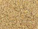 Bird Seed