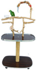 Bottlebrush Parrot Playgym