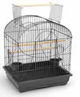 Cage Finch Flight