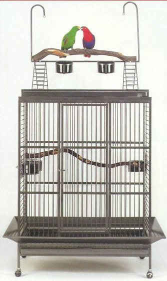 Avian Adventures Grande Playtop Bird Cage