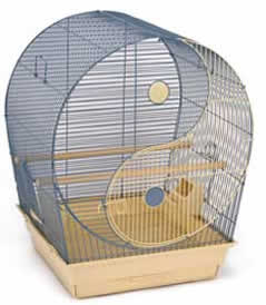 Cages Finch Flight