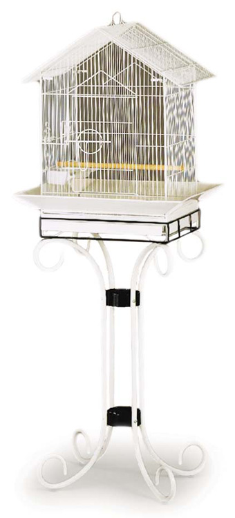 Cockatiel Bird Cages