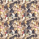 Tropic Delight Vita Cockatiel