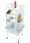 Cockatoo Cages