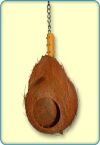 Coconut Hut Bird Toys