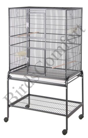 Love Bird on Bird Cages   All About Bird Cages  A Look At Lovebird Cages