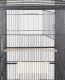 Cage Perch
