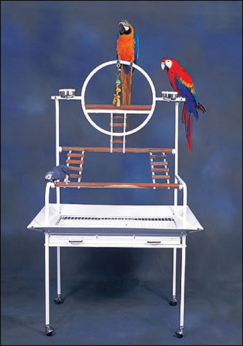 Interpet Parrot Stand