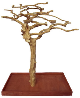 Java Wood Tree