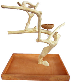 Bird Play Stand