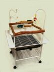 Parrot Play Stand