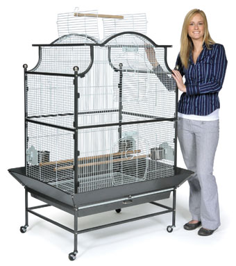 Pagoda Parrot Cage
