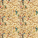 Tropic Delight Vita Parakeet