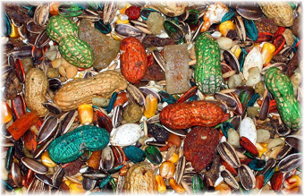 Parrot Foods