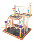 Parrot Gym