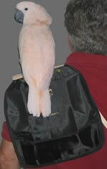 Shoulder Perch Pouch