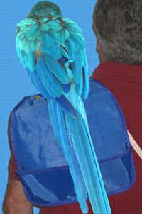 Perch Pouch