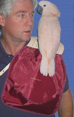 Shoulder Perch Pouch