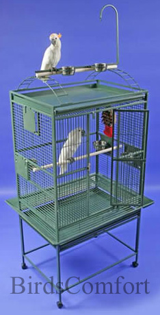 Parrot Cage