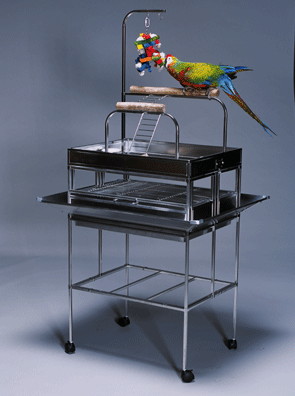 Featherland Stainless Steel Play Gym