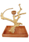 Table Top Java Wood Tree