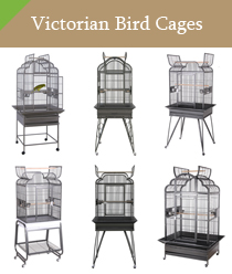 Victorian Bird Cages