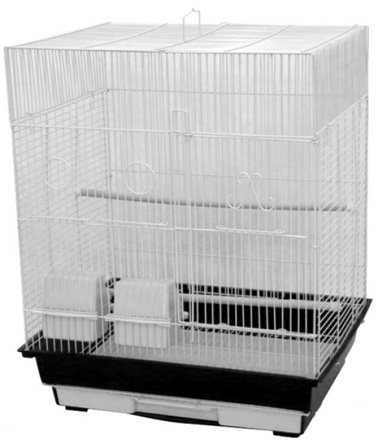 AE Flat Top Cage Finches