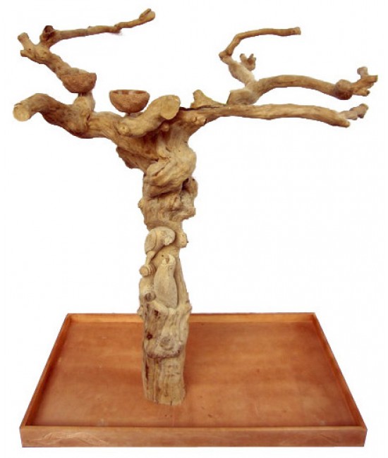 AE Medium Carved Java Wood Tree