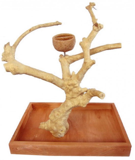 AE Table Top Java Wood Tree