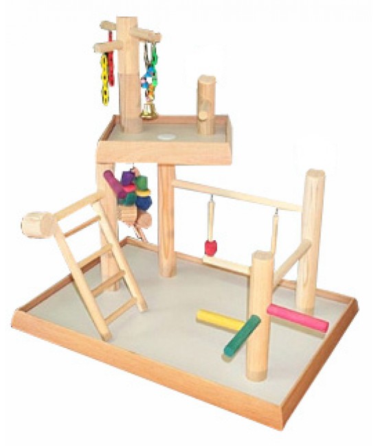 bird play gym