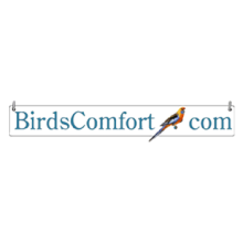www.birdscomfort.com