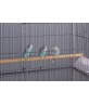 Prevue Pet Large Flight Cage