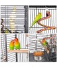 Economy Parrot Play Top Bird Cage 61" Black