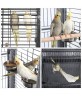 Economy Victorian Large Parrot Bird Cage 63"