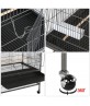 Large Flight Parrot Cage With Stand