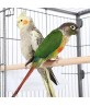 Large Flight Parrot Cage With Stand