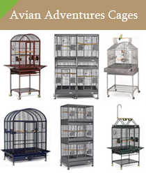 Avian Adventures Bird Cages