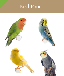 Bird Food