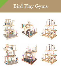 Bird Play Gyms