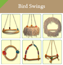 Bird Swings