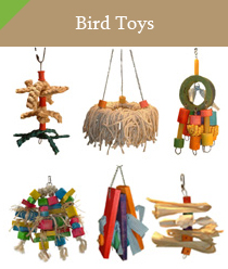Bird Toys
