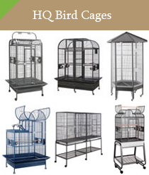 HQ Bird Cages