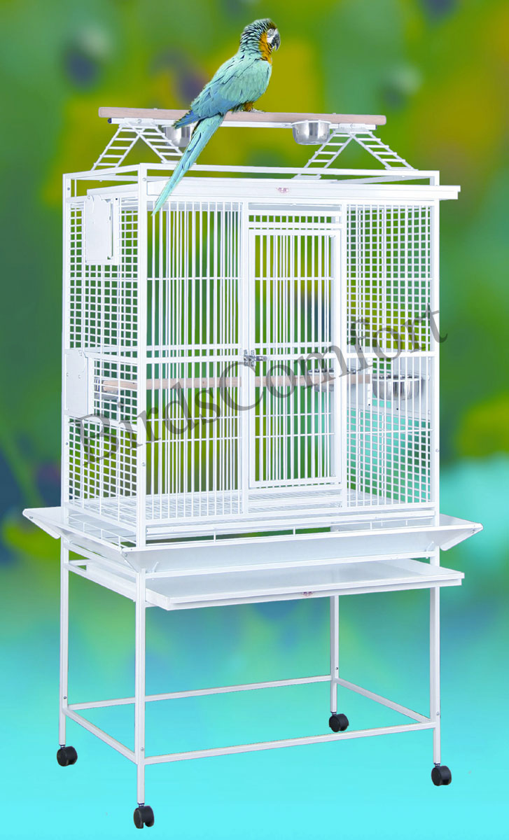 Medium Bird Cages Presented by